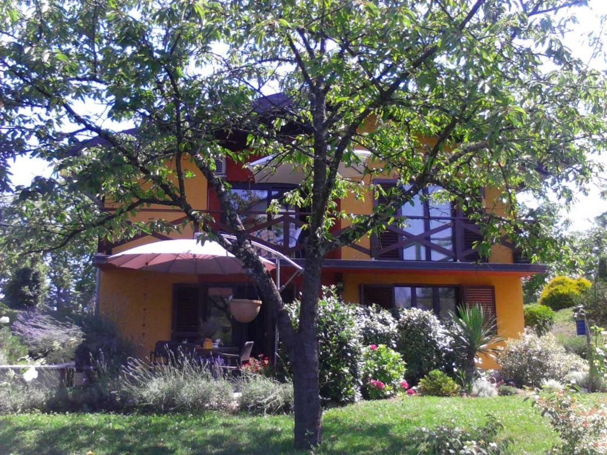 Apartment Villa Ema Krapinske Toplice Buitenkant foto