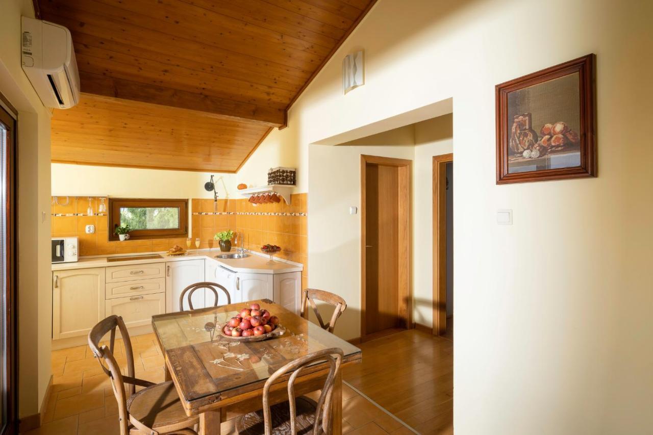 Apartment Villa Ema Krapinske Toplice Buitenkant foto