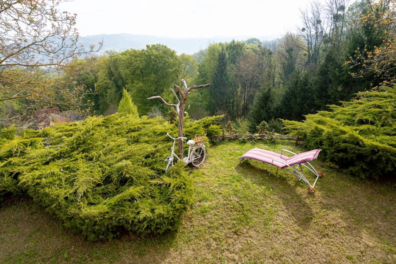 Apartment Villa Ema Krapinske Toplice Buitenkant foto