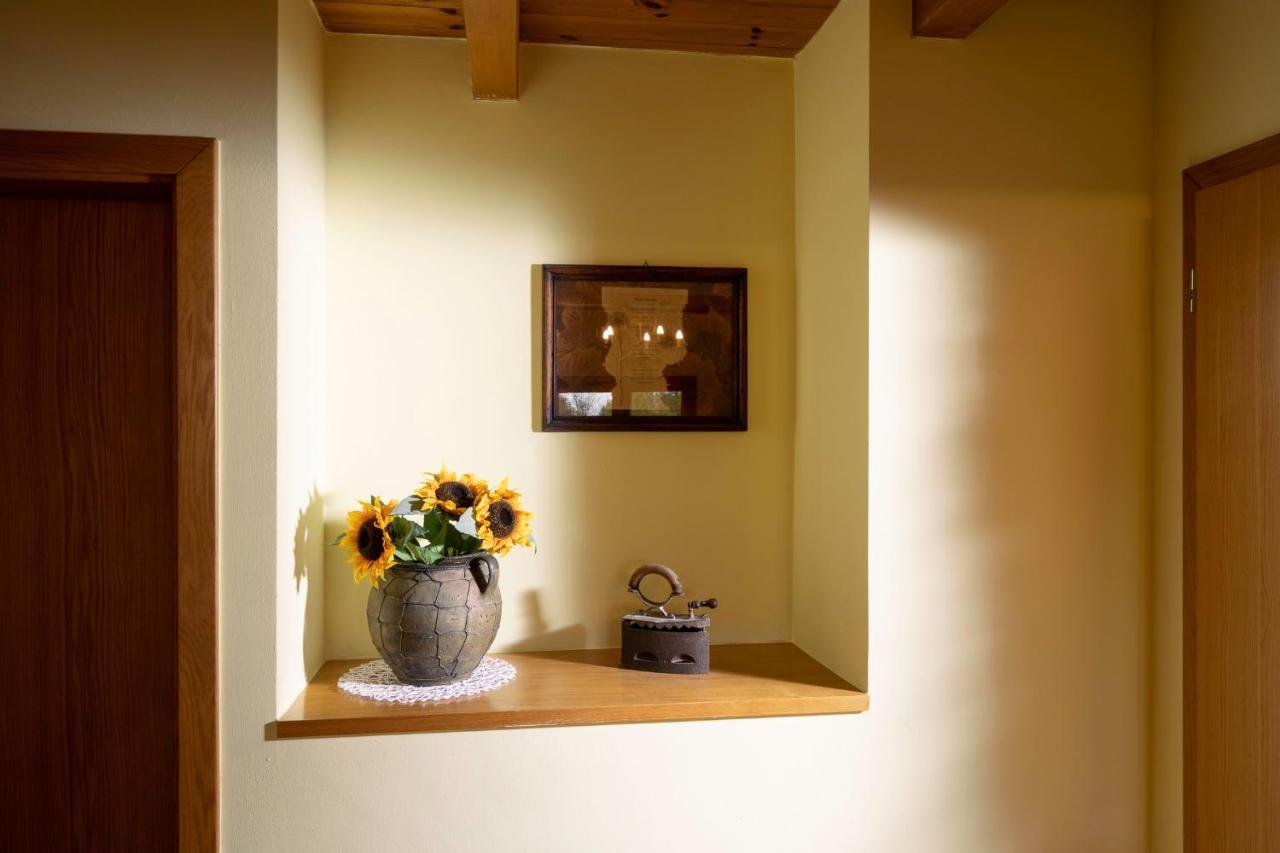 Apartment Villa Ema Krapinske Toplice Buitenkant foto